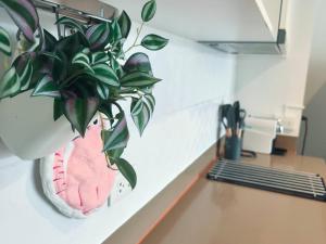 Friendly 2BR in Phuket Central with pool gym