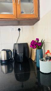 1bhk in Calangute North Goa nearby beach - Sea Breeze Bay