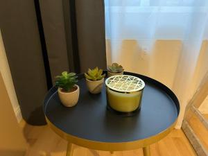 City-Appartment im Bachhviertel