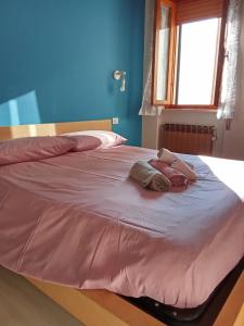 Buona vista!Valcamonica!