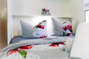 Apt - Fredys Paradise - St Blasien