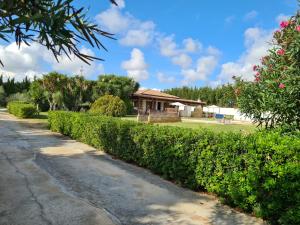 Villa Serena Alghero img54