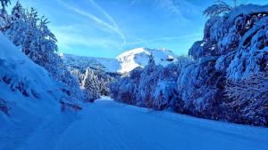 Cristaux Studio, with view to Mont Blanc
