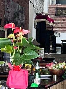 Homestay COAST HOUSE