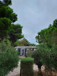 Mobil-home 6 personnes avec piscine