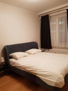 Central cosy apartment