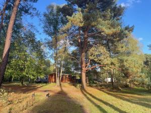 Chalet dans les bois