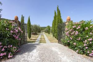 San Martino agli Ulivi