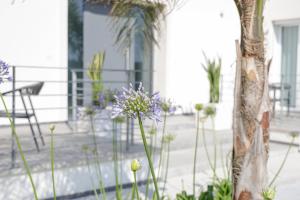 Villa con piscina e vista mare immersa nella natura