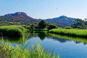 Village Camping de lOstriconi 3 étoiles