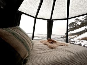 Stockholm Archipelago Igloo Hut