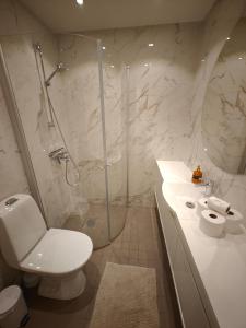 Stella Lapponia Two Floors 200 Sqm