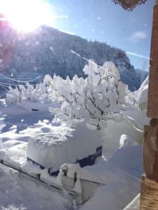 ORZU Boutique Stays Manali