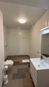 Skólavörðustígur Apartments