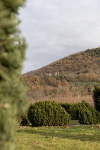 La Ferrara Agriturismo