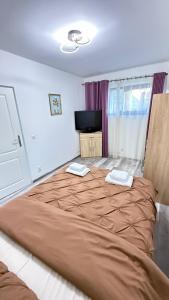 Easy Link Studio Aeroport Spital Neuro Sf Maria