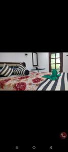 Ella bay homestay