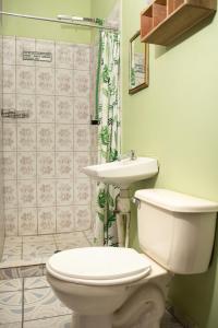 Habitación Confort Queen