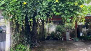 OYO 95141 Tanjung Mas Hotel