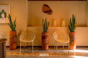 Pousada Almarina Pipa by QAVI