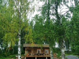 Эко -дом старого времени