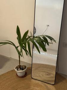 Boutique Private Studio Central in General Luna Starlink & Parking