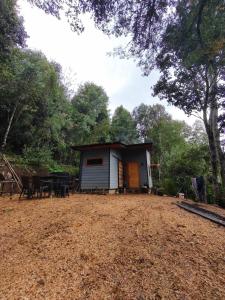 Tiny house en medio del bosque nativo