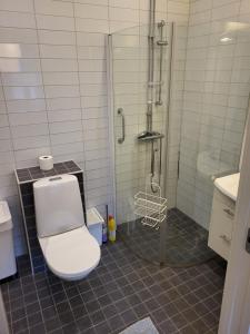 Lägenhet med Sjöutsikt pool gym and sauna for free