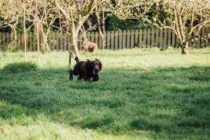 The Farthings Somerset