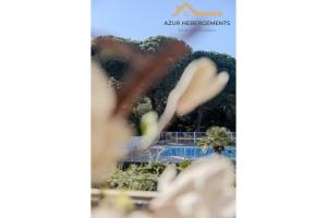 Antibes Appartement 4 personnes piscine parking