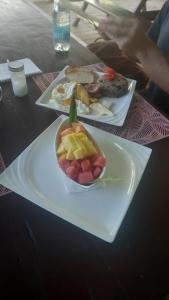 Life for Life Hostel Lodge Drake Bay Home of Sea Turtle Marine Conservation Project Osa Peninsula near San Josecito Beach