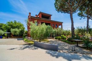 Apartments Oliveto - Calming Sea View