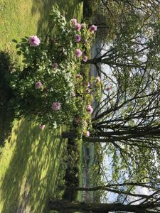 La pocterie