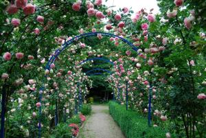 Le Mundhome - Chambres dhôtes B&B- Strasbourg Eurométropole