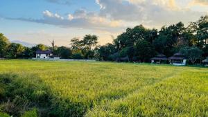 Pai Jer Na ปายเจอนา