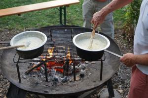 Villa Hühnerbunt Camper WoMo Kraftort