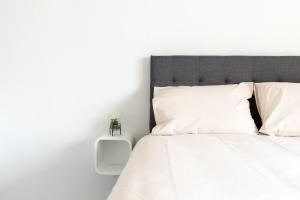 Studio Perle - Centre - Albi