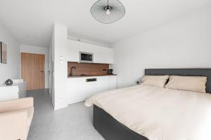 Studio Perle - Centre - Albi