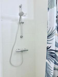 Dalikyda - Le Petit Lemaistre - Downtown - Wifi