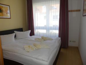 Appartementhaus Binzer Sterne 08