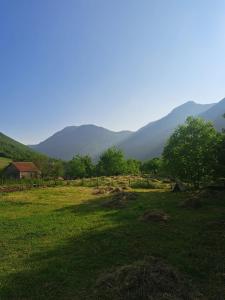 Boga Cabins