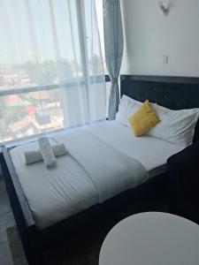 tsavo fedha cosy studio