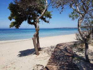 Alchimia Suite by Amarena Collection