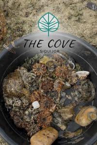 The Cove Resort Siquijor