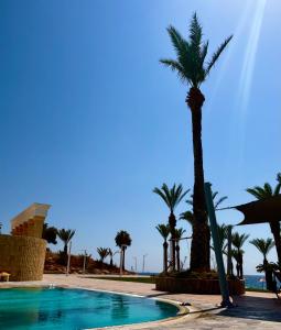 Family Comfort Apartments