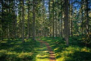 Stort semesterhus på ön Torsö, Vänern