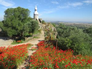 Pisco Charming House - Alter Pedroso