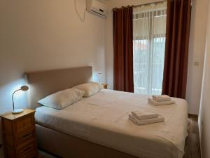 Modern Apartment Przno