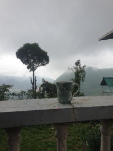 Bhowali Blossoms