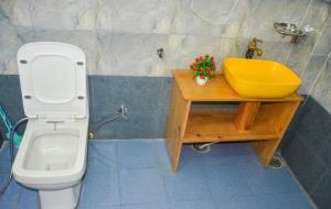 The cozyden Jibhi